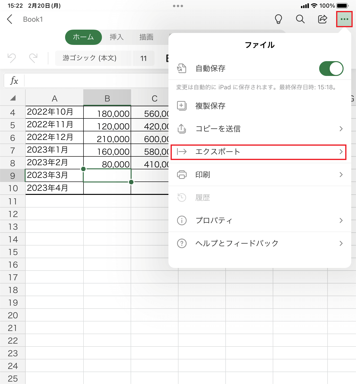 活動歴および当時の関連ビジュアル記録